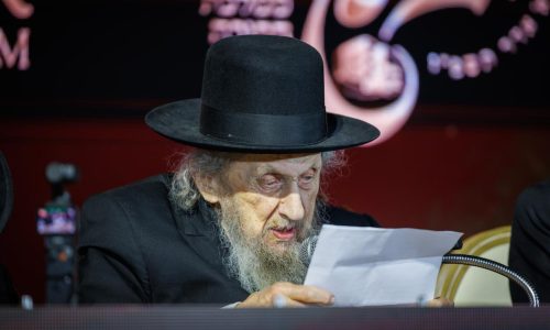 הרב דוב לנדו