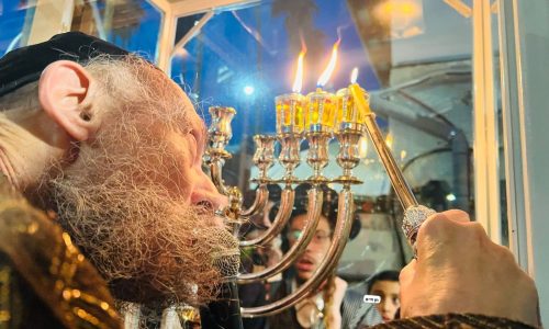 הרב דוב קוק