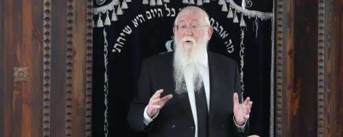 צילום: יעקב כהן