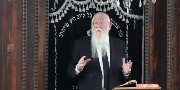 צילום: יעקב כהן