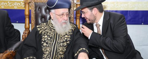 צילום: נועם אליהו