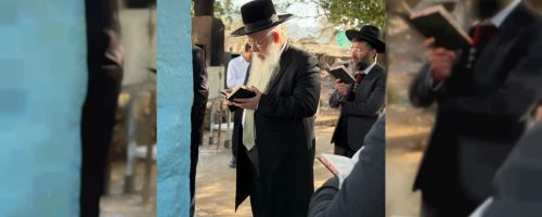 הרב מרדכי מלכא (4)