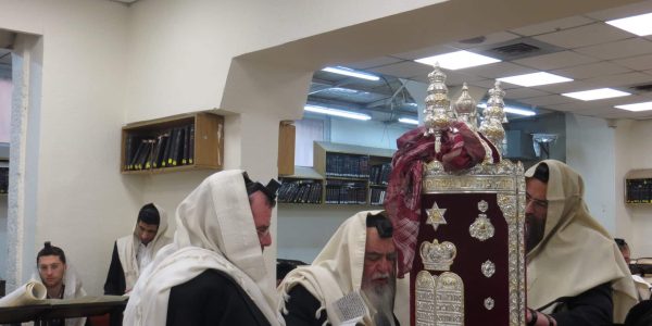 הרב-סלים-בקריאת-מגילה.-צילום-באדיבות-המצלם-9