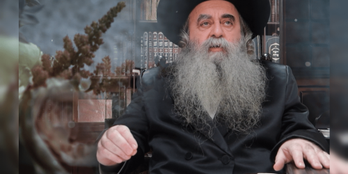 הרב_הלברשטאם