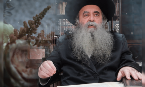 הרב_הלברשטאם