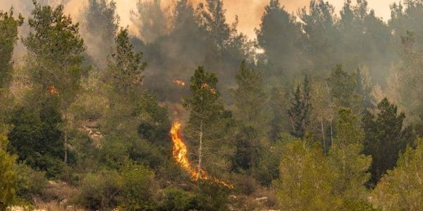 View of a large fire which broke out near moshav Eshtaol. April 23, 2025. Photo by Chaim Goldberg/Flash90 *** Local Caption *** שריפה
ירושלים
ליד מושב אשתאול
כבאים
אש
יער
שריפת ענק