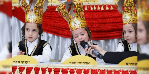 חומש בעלז (243)