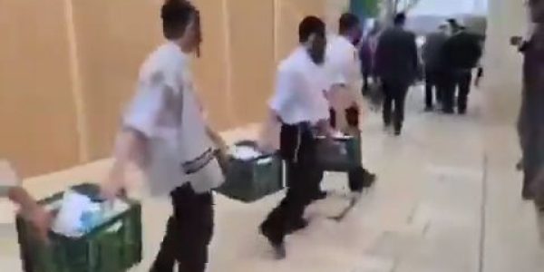 חלב מגיע למירון