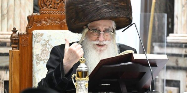 צילום: משה גולדשטיין