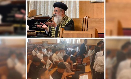 חסד נעורים 26.5