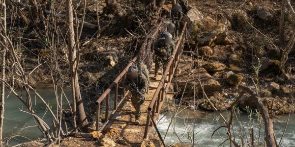 לוחמי שלדג במרחב הליטאני. צילום: דו"צ