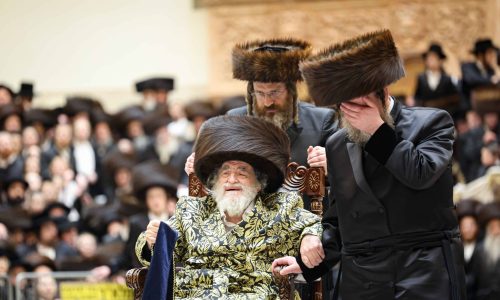 הרבי ויז'ניץ - צילום א. אייזנבאך