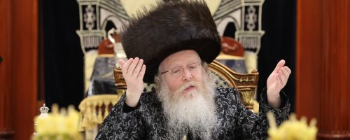 טו-בשבט-בחצר-קעטשניף-קרית-גת.-צילום-מענדי-קורנט-24