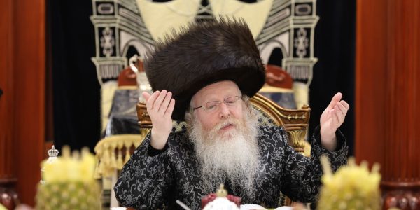 טו-בשבט-בחצר-קעטשניף-קרית-גת.-צילום-מענדי-קורנט-24