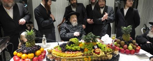 טו בשבט במחיצת הגרי''מ שכטר. באדיבות המצלם (1)