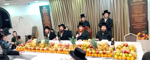 טיש-טו-בשבט-בקאליב.-באדיבות-המצלם-13