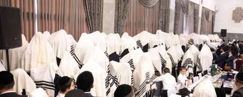 טשכנוב. צילום שמואל דריי (10)