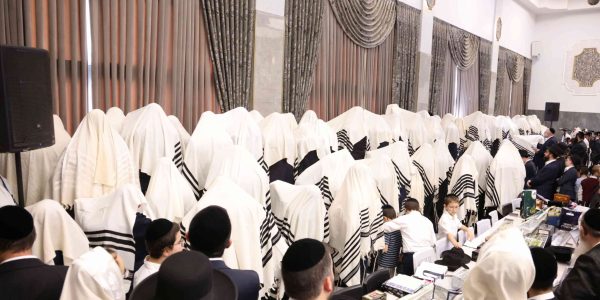 טשכנוב. צילום שמואל דריי (10)