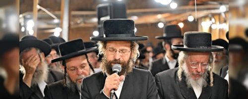 יהושע פרוכטר (29)