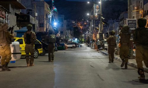 קרדיט: דובר צה"ל