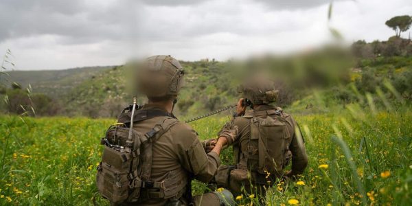 קרדיט: דו"צ