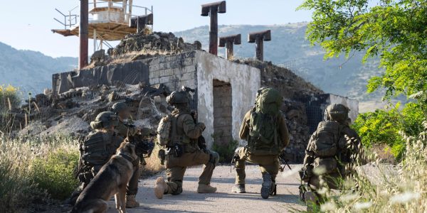 קרדיט: דו"צ