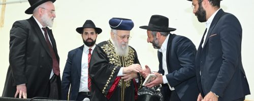 צילום: רפאל חסון