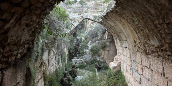 צילום: דו"צ