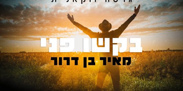מאיר בן דרור בקשו פני ווקאלי - גרפיקה