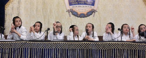 צילום: יהודה פרקוביץ