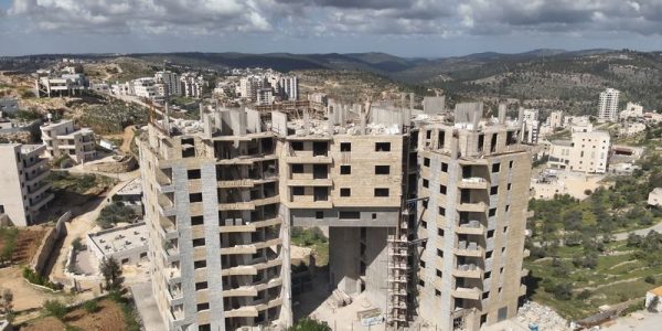 קרדיט צילום: רגבים