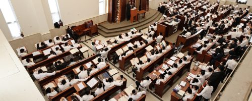 צילום: גד שקד וסופר סטודיו