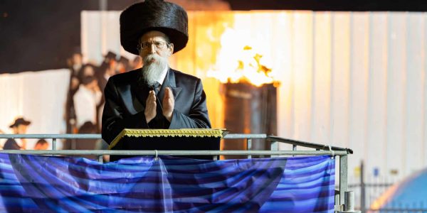 צילום: חיים טויטו