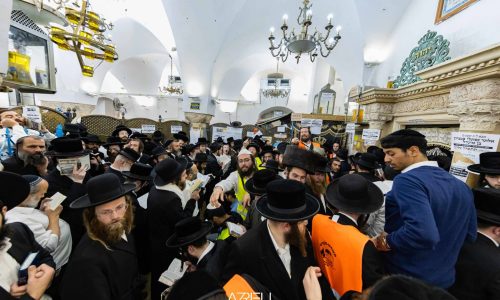 צילום: חיים טויטו