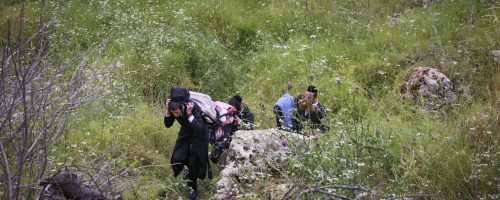 LAG BAOMER