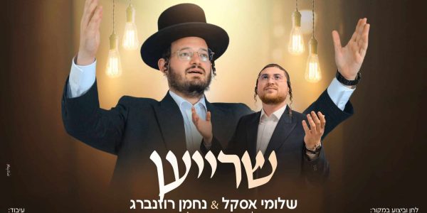 מלבן - שרייען