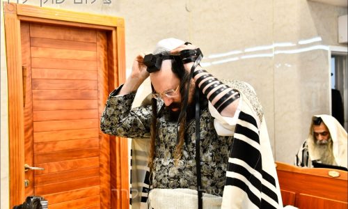 האדמו"ר ממעז'יבוז'. צילום: שוקי לרר