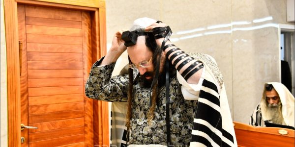 האדמו"ר ממעז'יבוז'. צילום: שוקי לרר