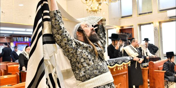 צילום: שוקי לרר