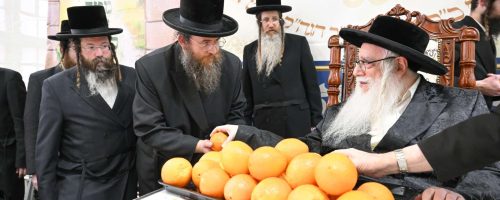 מעמד-פרותיך-מתוקים-למעל-1500-ילדי-הכיתות-הגבוהות-ברשת-תת-דרכי-אבות-צאנז-12