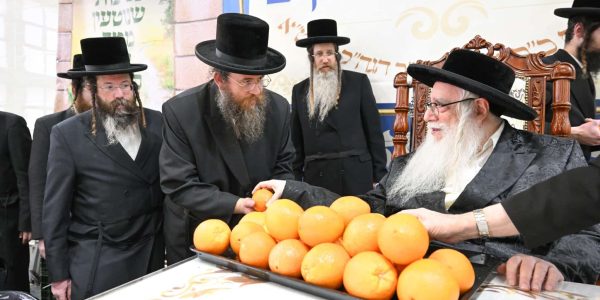 מעמד-פרותיך-מתוקים-למעל-1500-ילדי-הכיתות-הגבוהות-ברשת-תת-דרכי-אבות-צאנז-12