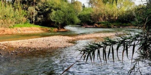 מפגש הנחלים דן, ירדן ובניאס. צילום: רט"ג