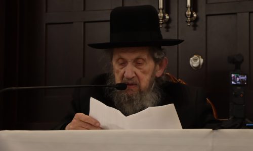 צילום: יצחק ורדי