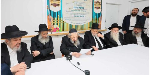 צילום: אליעזר פיינשטיין