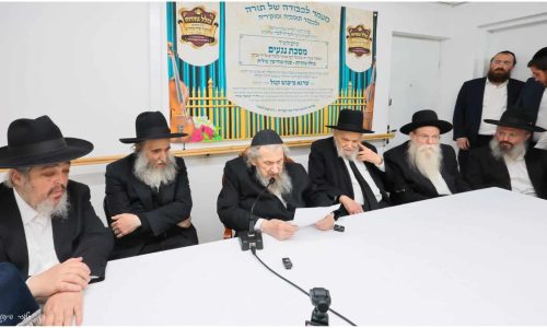 צילום: אליעזר פיינשטיין