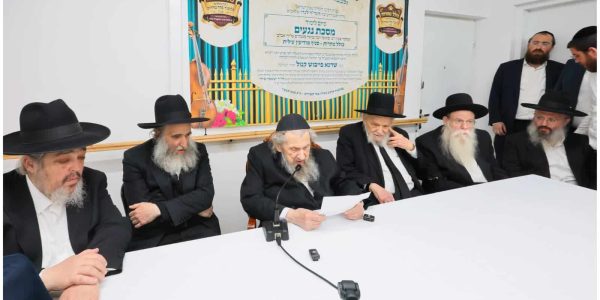 צילום: אליעזר פיינשטיין