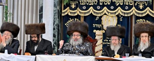 צילום: יהושוע פרוכטר