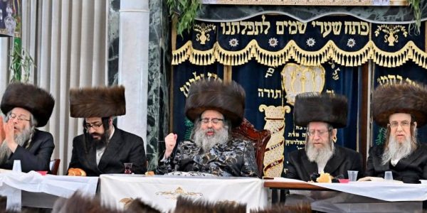 צילום: יהושוע פרוכטר