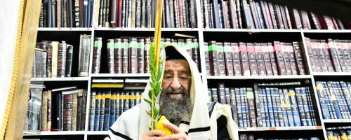 סוכות-במחיצת-הגרמ-בן-שמעון-22