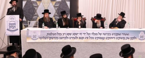 סטריקוב. צילום צ (17)